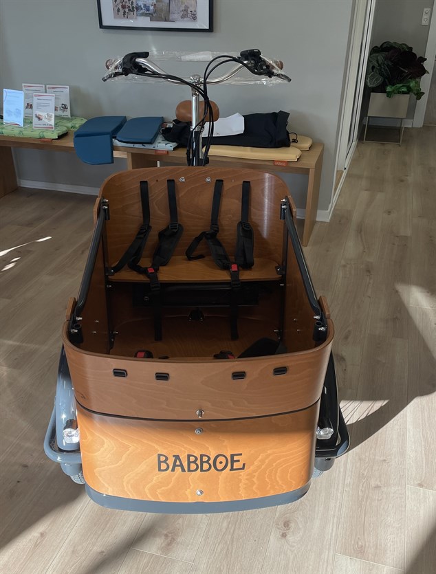 Babboe CURVE MOUNTAIN