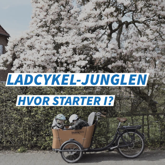 Ladcykel-junglen - hvor starter man?
