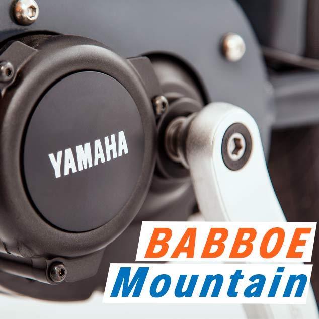 Babboe Mountain ladcykler
