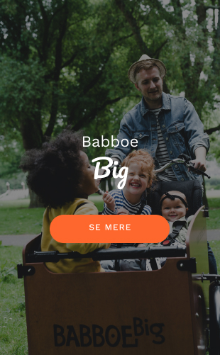 Babboe E-Big / Den traditionelle og rummelige ladcykel